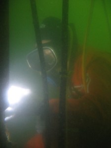 Gallery 2
