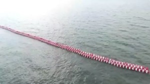 Floating Breakwater & Floating Pontoon
